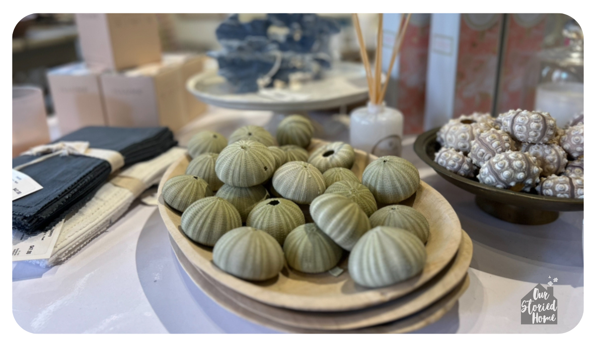 Decor Trends for 2025